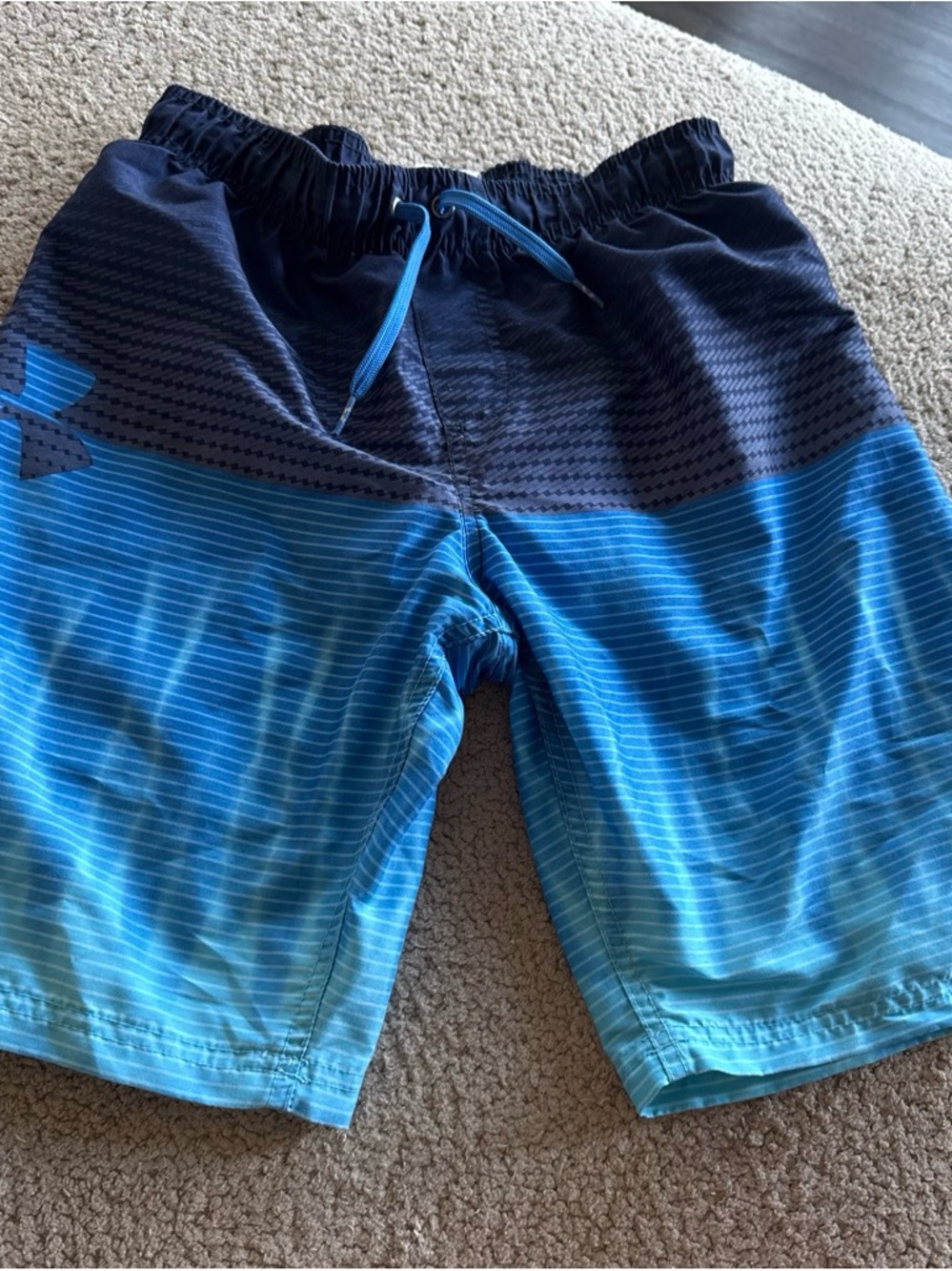 Under Armour Navy and Bright Blue Ombre Swim Shorts
